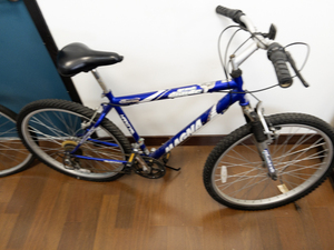 lot 20 image: 18 Speed Bike