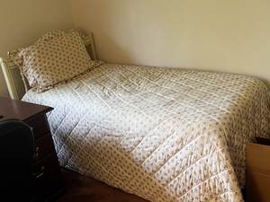 French Provincial Style Twin Bed Frame/Mattress/Boxspring Set with Pink Floral Duvet Set