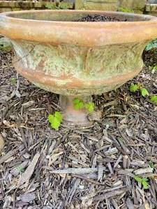 lot 85 image: Terracotta Squat Outdoor Planter