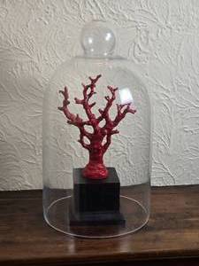 lot 34 image: Vibrant Red Coral Decor Sculpture