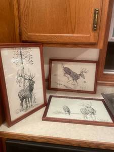 lot 37 image: Set of 3 Framed Wildlife Art Prints by Pauline Matthews