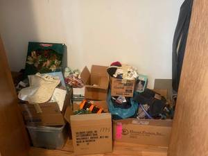 lot 114 image: Contents of Closet Various Household Items and Seasonal Decor