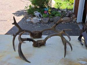 lot 428 image: Lot of (2) Antlers  Assorted