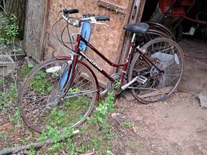 lot 712 image: Schwinn World Tourist Womens Street Bike Red Frame