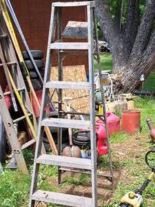 lot 792 image: 6 Aluminum Step Ladder
