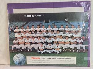 lot 107 image: 1969 Minnesota Twins Team Photo 16x20