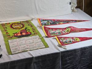 lot 118 image: Lot of Vintage Hawaiian and Minnesota Pennants