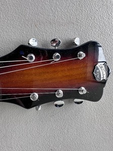 Recording King Slide Guitar