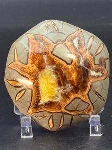 lot 52 image: Geode Septarian Nodule Slab is a striking natural slice that reveals the ancient beauty hidden within a septarian nodule. 8.7 oz.  0.249 kg.