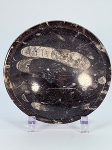 lot 92 image: Orthoceras Fossil Bowl is a striking, hand-carved display piece featuring the elongated, jet-black orthoceras fossils embedded in a smooth, polished matrix. 5.2 oz.  0.149 kg.