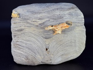 lot 51 image: Rare Precambrian Stromatolite Fossil Specimen - Earliest Record of Life on Earth.&nbspGeological Significance&nbspDates back to the Precambrian era, potentially over 2 billion years old. 4 lbs 15.5 oz.  2.255 kg.
