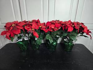 lot 337 image: Set of 4 Artificial Poinsettia Plants with Green Wrap