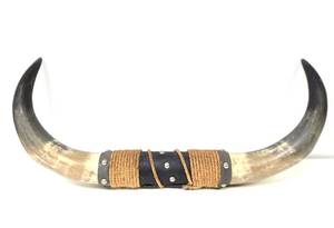 lot 352 image: Western Style Genuine Bull Horn Wall Display Rack