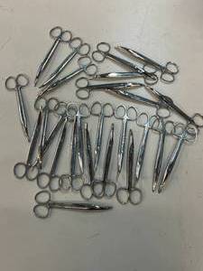 Box of Dissecting Scissors - Bent Tip, 5.5 inches