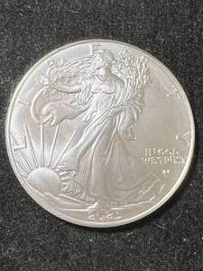 2025 AMERICAN SILVER EAGLE 1 TROY OZ .999 FINE SILVER
