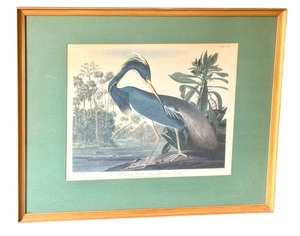 lot 280 image: Framed 1990s Louisiana Heron by Audubon, Print
