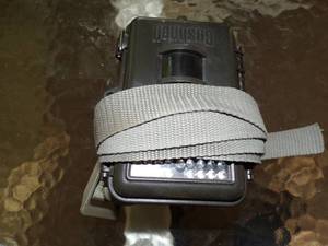 lot 309 image: Game Camera