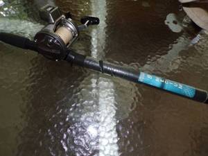 lot 327 image: Bait Casting Reel with Rod