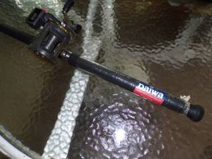 lot 328 image: Bait Casting Reel with Rod
