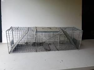 lot 181 image: Large 4 foot Varmint trap