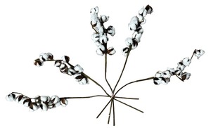 lot 271 image: Cotton, Bundle of 5 pieces