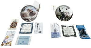 lot 273 image: Decorative Collectors Plate, Bundle of 2