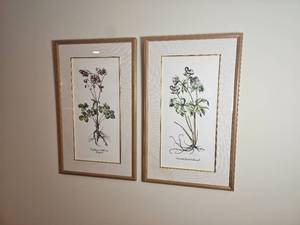 lot 70 image: Floral Botanical Prints Pair