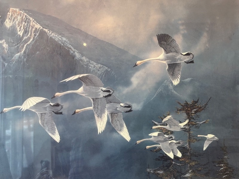 lot 295 image: Framed Artwork Geese in Flight by Tod Blaylock