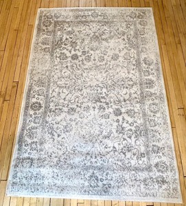 lot 31 image: Safavieh Adirondack Area Rug 5 x 7 Ivory and Silver
