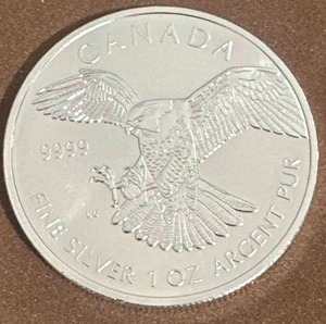 1oz .999 Silver Coin