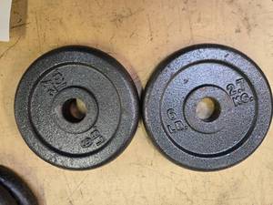 lot 61 image: A Pair of 5LB -One -Inch Weight Plates (USED)