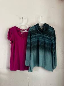 lot 137 image: Lots of 2 Blouses (NEW) - Size L, One World and CJ Banks