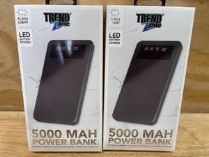 lot 105 image: Lot of 2 - Portable Charger 500 MAH Power Bank TRENDZONE