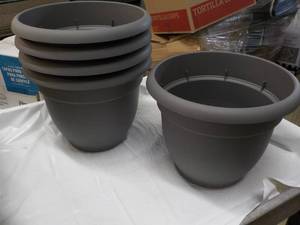 lot 124 image: 5 ct Bloem Living Self Watering Gre...