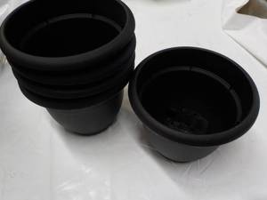 lot 126 image: 5 ct Bloem Living Self Watering Bla...