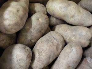 lot 182 image: 50 lb. box Kitchen Kleen Russet Pot...
