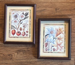 lot 70 image: Two Fine Floral Framed Prints
