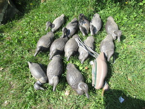 lot 47 image: Decoys, 12 plastic Miller Mfg...