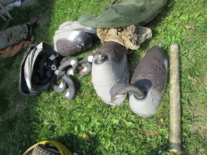 lot 49 image: Geese decoys, 23 with 22 heads...