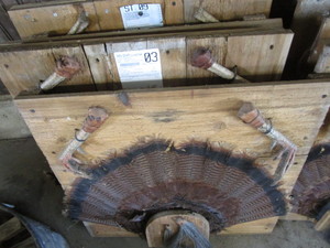 lot 268 image: Turkey feather mounts, claws & bear...