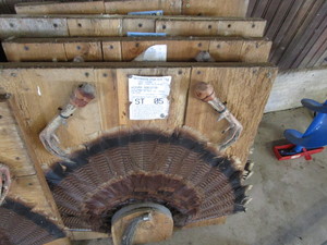 lot 269 image: Turkey feather mounts, claws & bear...