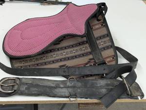 lot 298 image: Horse Saddle Blanket and Riding Pad