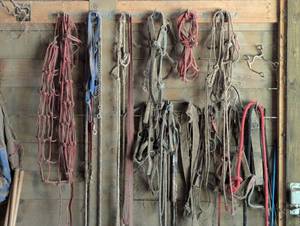 lot 351 image: Entire Wall of Horse Accesories - Leads, Mouth Pieces, Hay Bags, Harnesses, Rope