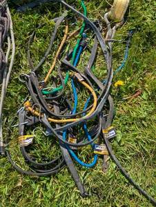 lot 346 image: Bucket Full of Bungees and Straps