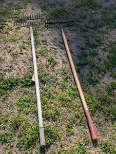 lot 317 image: Set of Metal Rakes - 1 Wood Handle - 1 Fiberglass Handle