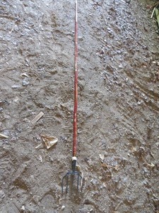 lot 15 image: Fishing Spear with 8 Bamboo Handle