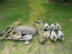 lot 19 image: Mixed Lot of Duck Decoys with Bags