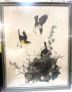 Vintage Audubon Yellow Breasted Chat Framed Print