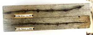 lot 70 image: 1800s Barbed Wire Display