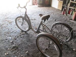 lot 161 image: Schwinn 3 wheeled bike...